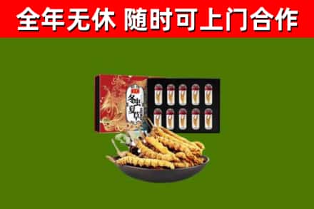 茶山镇烟酒回收冬虫夏草礼盒.jpg
